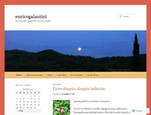 Tablet Screenshot of enricogalantini.net